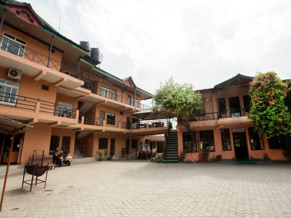 Spot On 486 Hotel Holy Lodge Sauraha Eksteriør billede