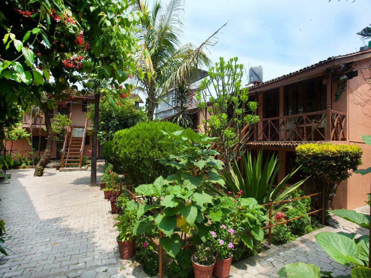 Spot On 486 Hotel Holy Lodge Sauraha Eksteriør billede